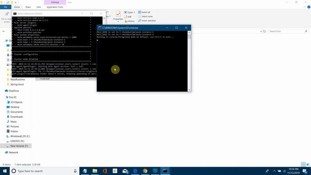 Implementing Mule Runtime, Multicast Clustering and Deploying Application Using MuleSoft смотреть онлайн