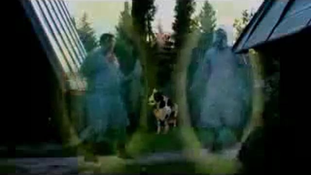 WoW в реальной жизни смотреть онлайн