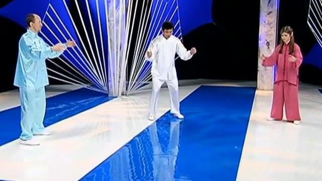 Мастер класс, тайцзицюань урок 9 смотреть онлайн