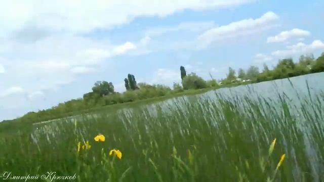 РЫБАЛКА Ловили Карпа, а поймали Гадюку. Пруд в станице Родниковская май 2019г КУБАНЬ. Живите в Кайф! смотреть онлайн