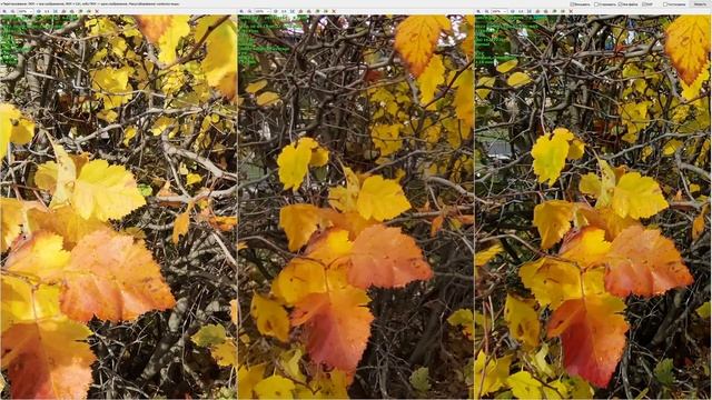 Honor 70 или Honor 50 СРАВНИВАЕМ ПО ФОТО ЧАСТИ. Какой Honor выбрать в 2022 году. Camera test Honor смотреть онлайн