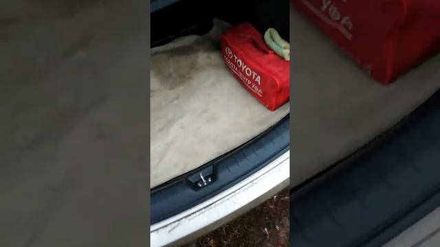 Кио Рио 2019 смотреть онлайн