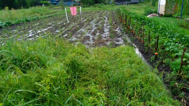 50 минут дождя! смотреть онлайн