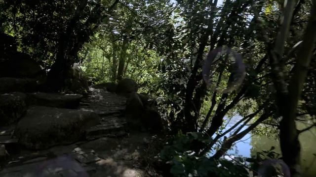 Calouste Gulbenkian Foundation - in the heart of Lisbon смотреть онлайн