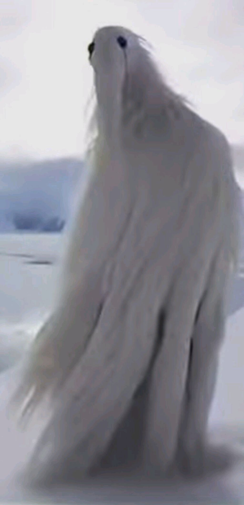 птица....2027...ядерная зима...