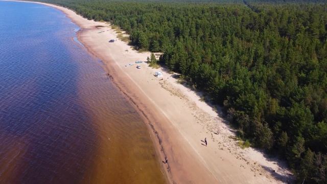 Ладожское озеро видео с дрона/ DJI Mini 2 Видео/ 4К съёмка смотреть онлайн