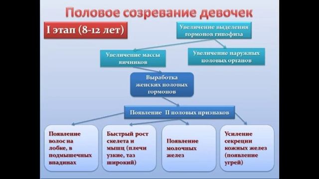 Вторичные половые признаки, половое созревание. смотреть онлайн