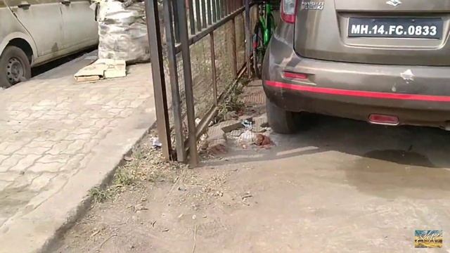 Finally My Omni Servicing | Omni Van Service Costing | Maruti Suzuki Omni Washing | Keshav Sk смотреть онлайн