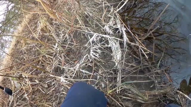 Береговой спиннинг на реке Северский Донец!!! Нарезка спиннинговой ловли смотреть онлайн