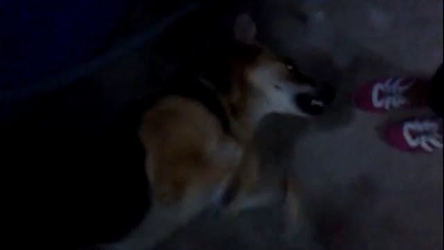 Ну не хочу я твою ногу)))