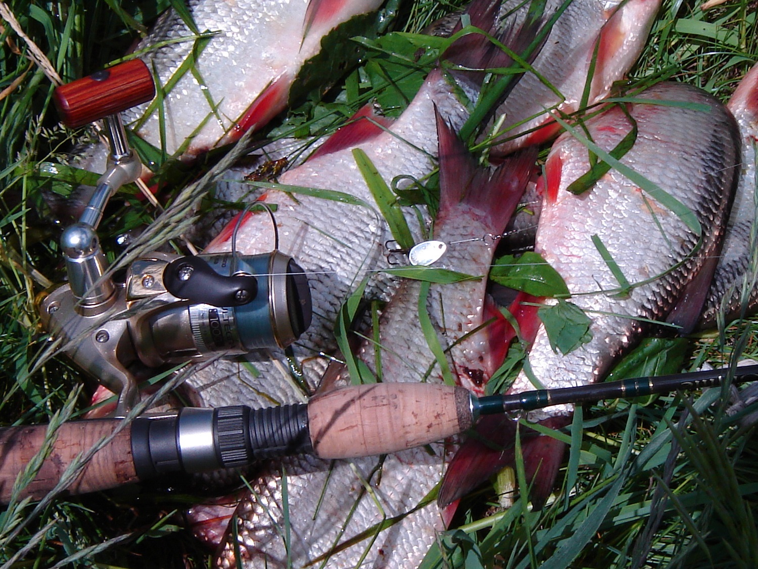 Копирование лепестка блесны типа меппс, своими руками. смотреть онлайн