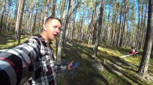 ВЛОГ ЗА ГРИБАМИ ЯГОДАМИ ТЕСТ КОЛОНКИ JBL ДАЧА