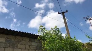 Агасиевские бойные голуби Агаси Владимировича