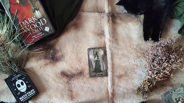 Что вам говорит ваш внутренний голос! смотреть онлайн