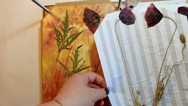 Гербарный пресс. #mixedmedia #кисловодск #botanical #гербарныйпресс #гербарий#ботаника