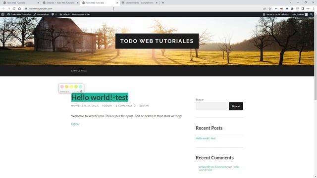 Plugin WordPress mantenimiento смотреть онлайн