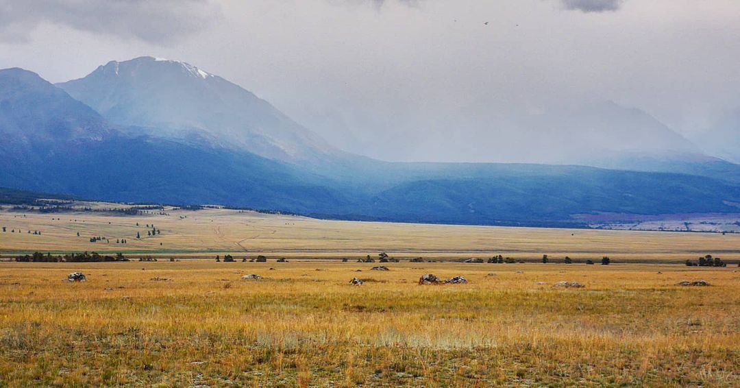Курайская степь