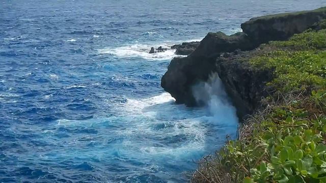 Морские черепахи возле о. Сайпан (Sea Turtles Near Saipan Island)