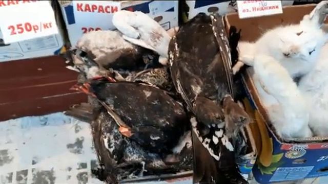 Крестьянский рынок Якутска, рыбные ряды. 18.12.2020 г. смотреть онлайн