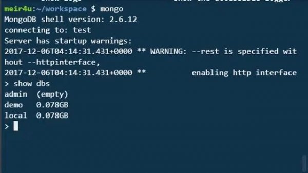 Mongo Shell Basics - "Exit Mongo DB Shell"
