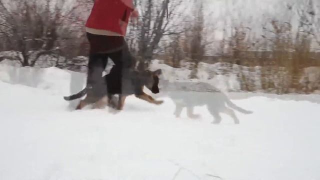 клеймо 210 смотреть онлайн