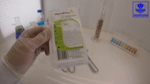 Огурец Адам F1. АгроЭлита