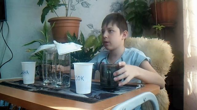 ОПЫТ на прохождение воды через песок и глину смотреть онлайн