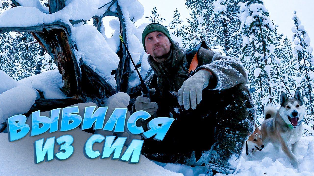 О ТАКОЙ ОХОТЕ УМАЛЧИВАЮТ. ХОДОВАЯ ОХОТА ЗИМОЙ. смотреть онлайн