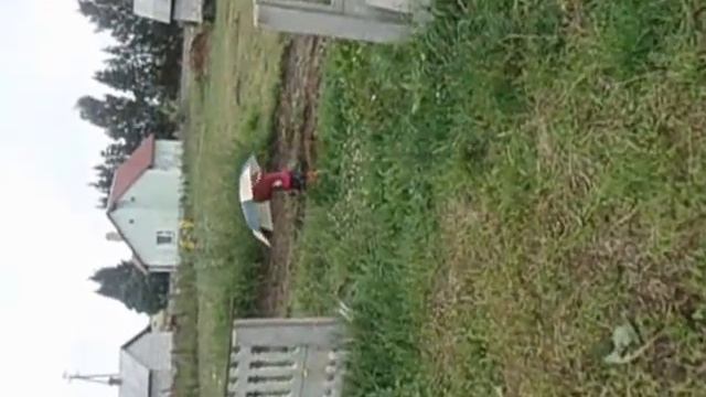 Унесенная ветром смотреть онлайн