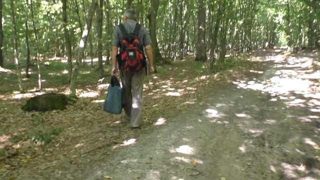 Самвел АДАМЯН ✅Клип✅ Вода по моему Совету  ✅Творог + Сметана = САХАР @SaveliyAd