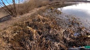 Ловля окуня и щуки ранней весной | Рыбалка на Дону в нерест | Спиннинг перед карантином