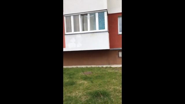 Экопроект «Посади свое семейное дерево. Аллея добра» смотреть онлайн