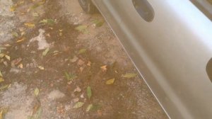 Не работает пульт сигнализации или центрального замка авто?