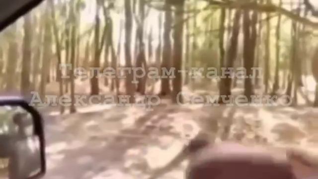 даже природа не любит славиков🤣 смотреть онлайн