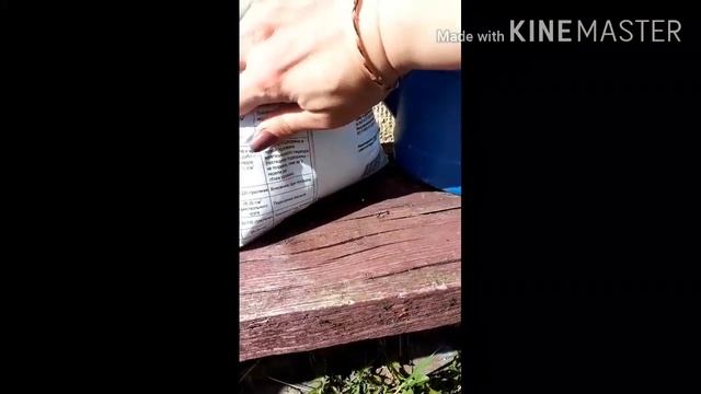 #сад#дача#огород#чеснок ПОДКОРМКА ЧЕСНОКА ВЕСНОЙ МОЧЕВИНОЙ  # ЧеснокПодкормка#Чеснок