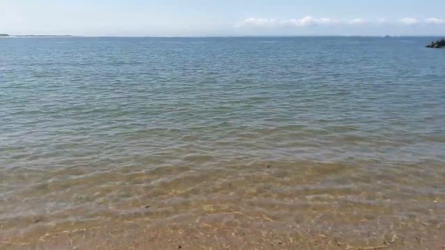 Манхеттен бич после первой волны ковида, маски на пляже смотреть онлайн