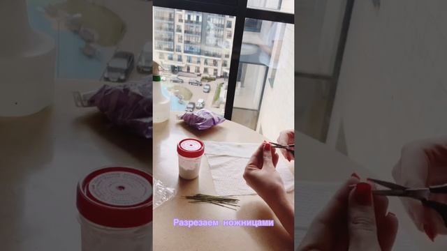 Лепка сирени смотреть онлайн