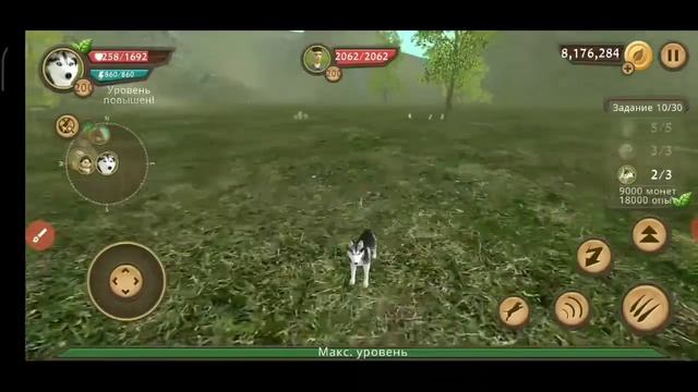 Баг на ускорение в Dog Sim