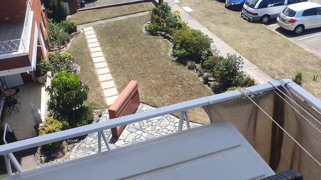 Самый горький перец в мире .Горгулья улетела с балкона.Благополучное приземление.Жизнь в Австралии смотреть онлайн