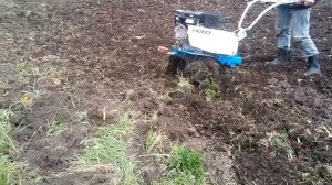 Сравнение фрез для мотоблока.   после вспашки трактором.  Обычные фрезы, гусиные лапки, целина.