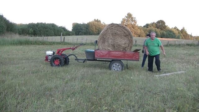 Возим рулоны сена на мотоблоке МТЗ-09Н. смотреть онлайн