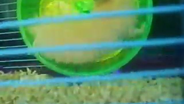 Joel's Adventure 2 смотреть онлайн