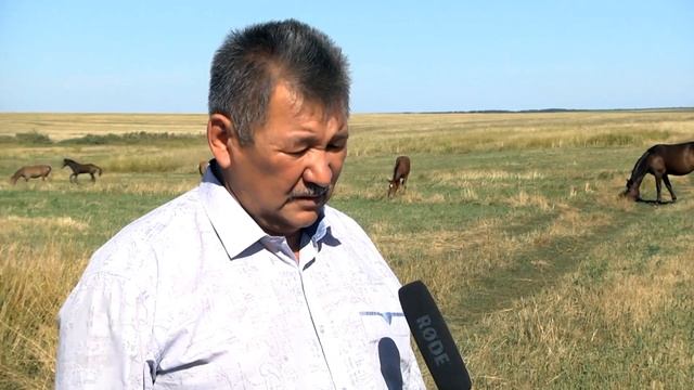 Большеглушицкий агровестник 18.08. 2016 г. смотреть онлайн