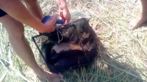 Рыбалка Мелитополь 2016