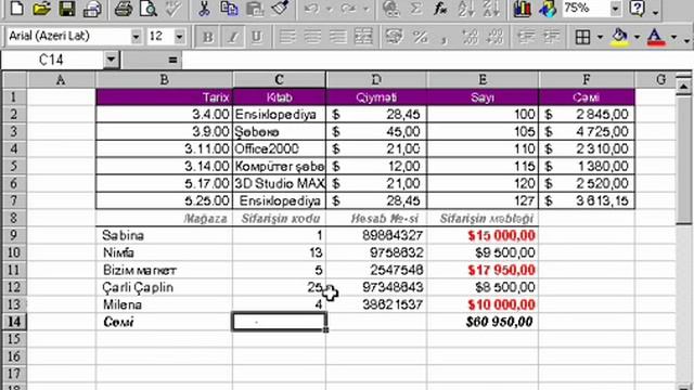 Microsoft Excel 2003 Azərbaycanca - Dərs 9.5 İşçi kitabının mühafizəsi смотреть онлайн