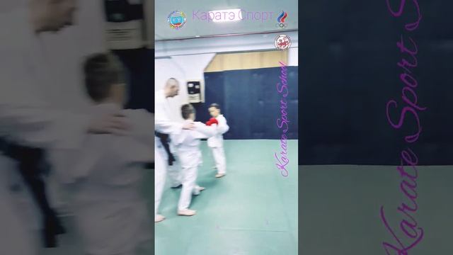 Подготовка к соревнованиям Каратэ Спорт смотреть онлайн