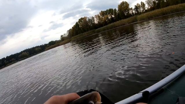 САЗАНЫ! КАРАСИ ЛАПТИ! РВУТ ЛЕСКУ! зимняя рыбалка с лодки на боковой кивок. удачная рыбалка. смотреть онлайн