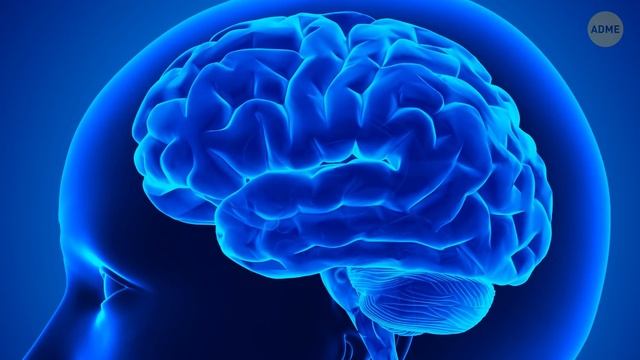 Если вы умеете так делать, значит, вы — один на миллион! смотреть онлайн