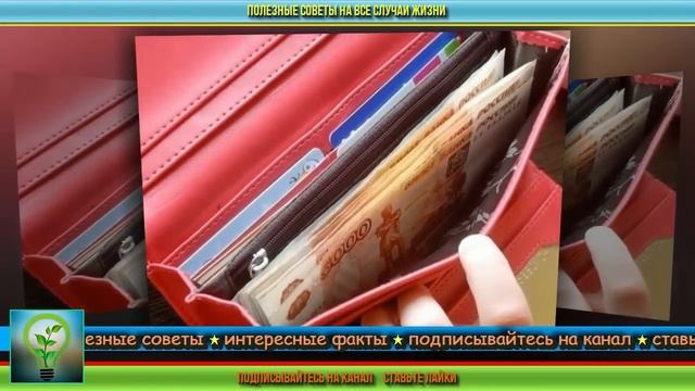 Какой цвет кошелька притягивает деньги. Выбираем кошелек для привлечения денег смотреть онлайн