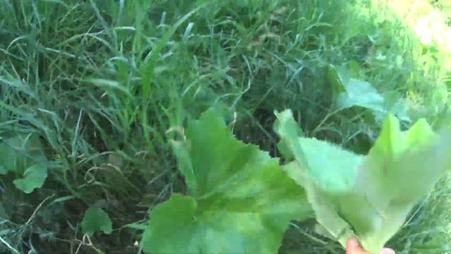 Мотоцикл Урал | День Рыбака смотреть онлайн